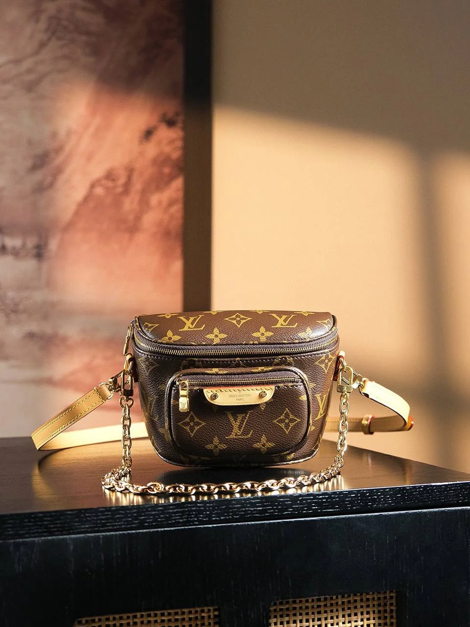 Жіноча сумка-Louis Vuitton